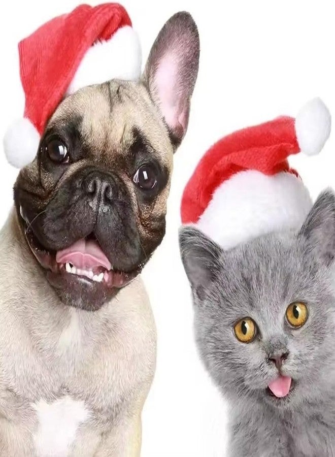 Ankelesz Dog Cat Pet Santa Hat Christmas Pet Costumes Santa Hat Pet Christmas Photo Props for Puppy Kitten - Image 2